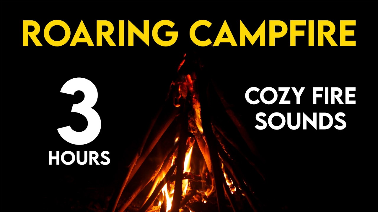 Roaring Campfire Burning Brightly at Night | 3 Hours of Cozy Fire Sounds