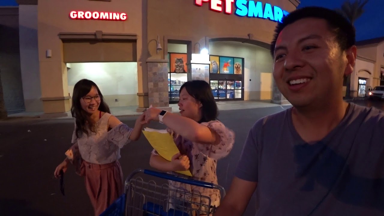 【VLOG】Мы взяли нашу первую кошку из Petsmart!