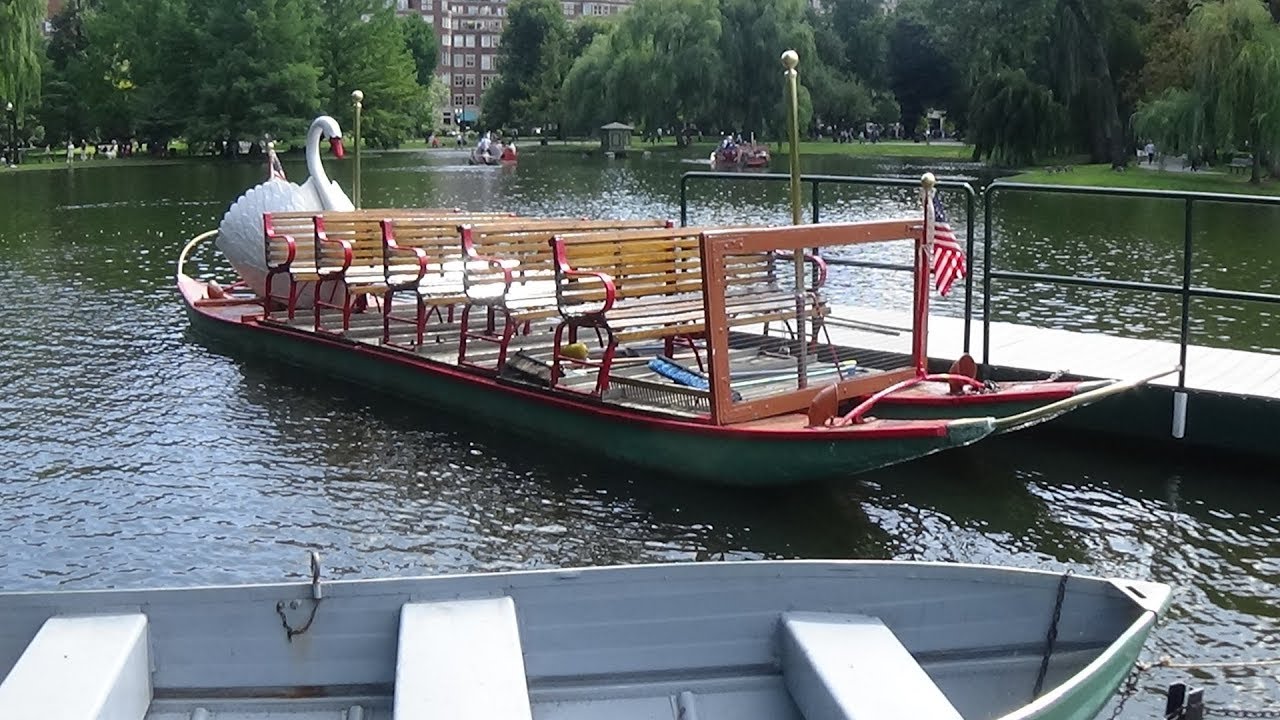 Swan Boats. (100 subs special video)