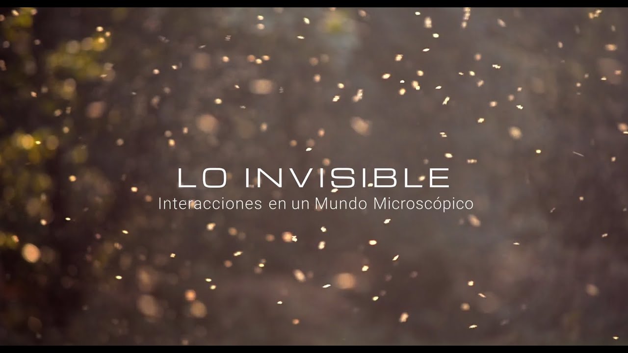 Desafíos socioecológicos CAPES UC | Episodio 1 | Lo invisible