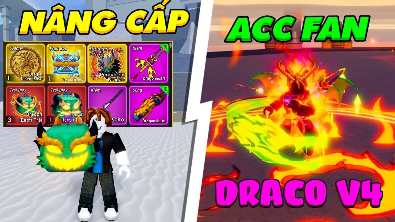ZENO NÂNG CẤP ACC FAN PERM DRAGON, TỘC RỒNG VÀ RƯƠNG BÁU VẬT TRÁI ÁC QUỶ BLOX FRUIT
