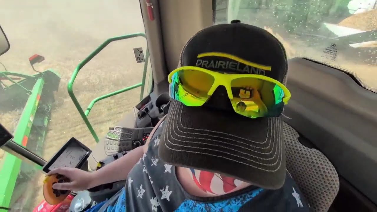 Wheat harvest 2025