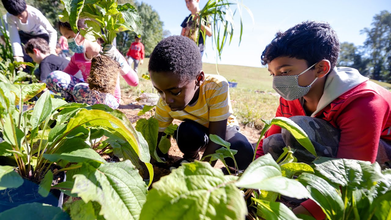 Lemon Road ES 4th Graders REVITALIZE, RESTORE, REPLANT!