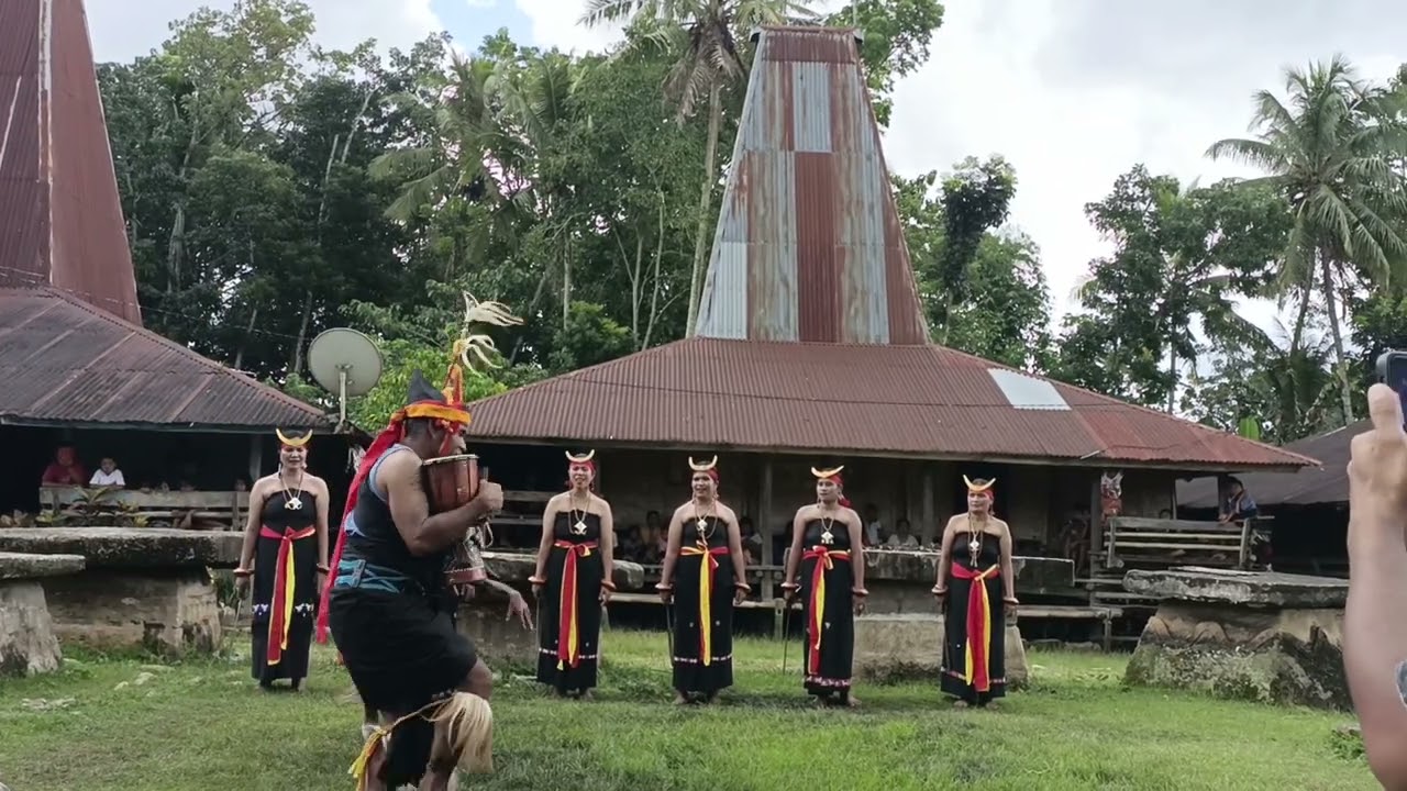 TARI HERUNG LABA KAMPUNG ADAT PASUMA ANAKALANG KABUPATEN SUMBA TENGAH NTT INDONESIA
