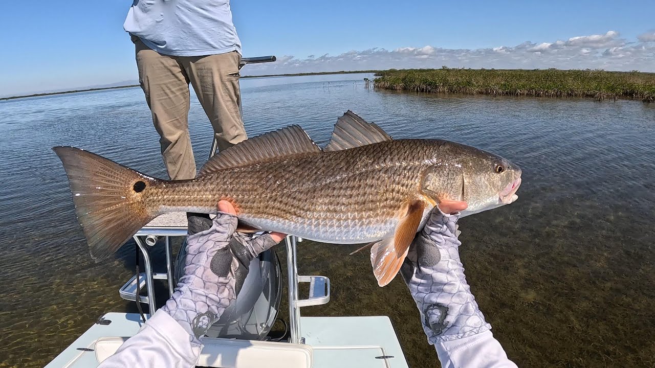 Fly Fishing for Redfish in Florida