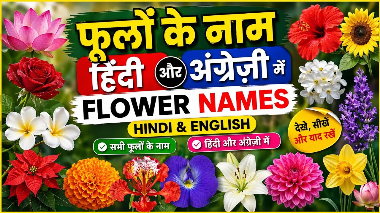 Flower name Hindi and English.फ फूलों के नाम हिंदी और अंग्रेजी में।