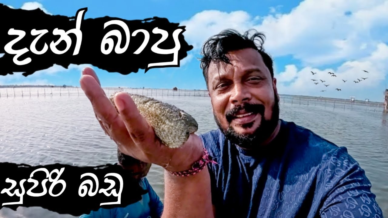 යාපනේ යමු  දැන් බාපු සුපිරි රා  / Jaffna Vlog  /  யாழ்ப்பாண 😊👌/ @travelwithsidney  / Vlog 17
