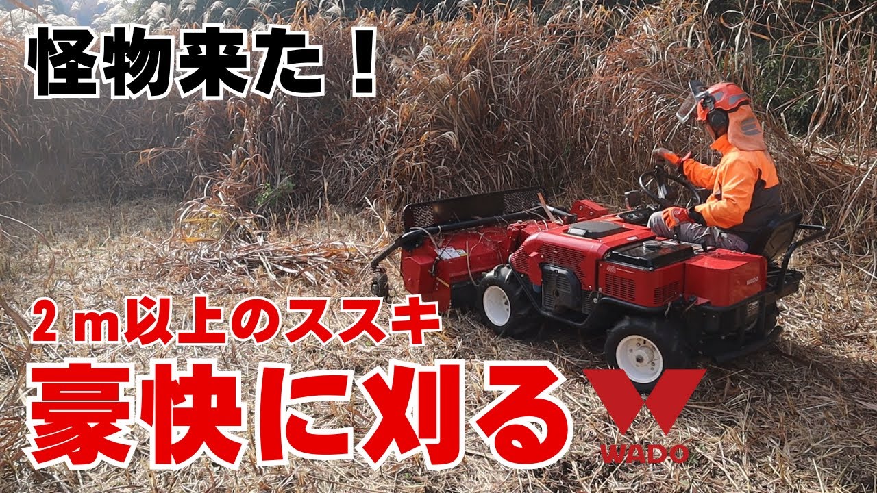 怪物きた！2ｍ以上のススキを豪快に押倒して刈る「ハンマーモア乗用草刈り機」和同産業乗用フレールモアーBM21F