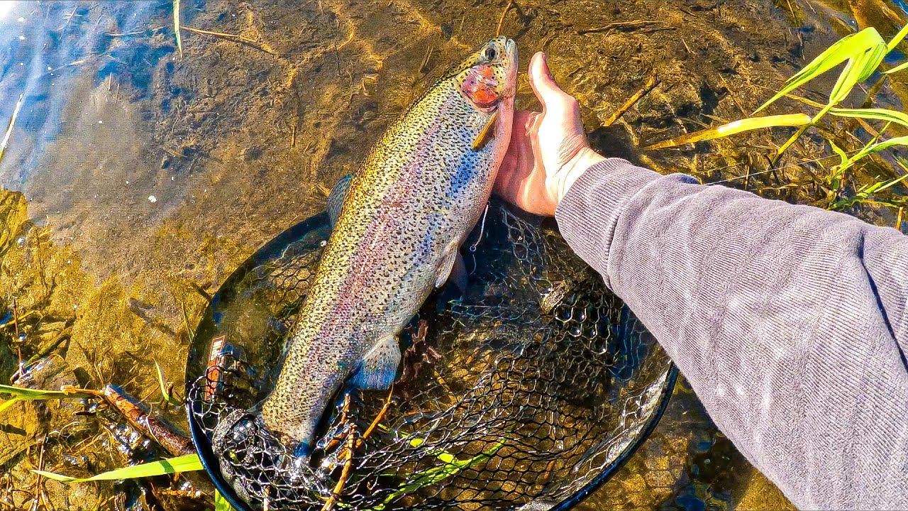 Рыбалка на новой реке / Толстая Форель согнула спиннинг в дугу!