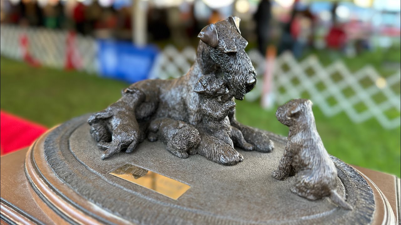 Montgomery County Kennel Club - Airedale Terriers National Specialty.
