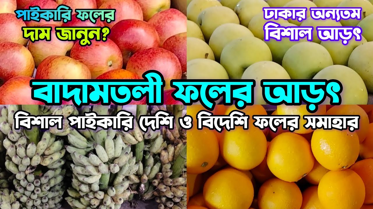 বাদামতলী ফলের আড়ৎ | ট্রাকে নিলাম ও আড়তে ফলের দাম জানুন? পাইকারদের সাথে আলোচনা #বাদামতলী #fruits