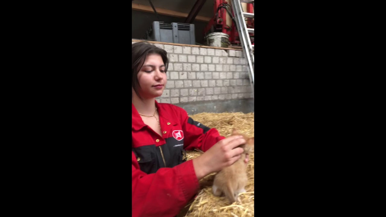 Hanteren en Fixeren uitleg filmpje