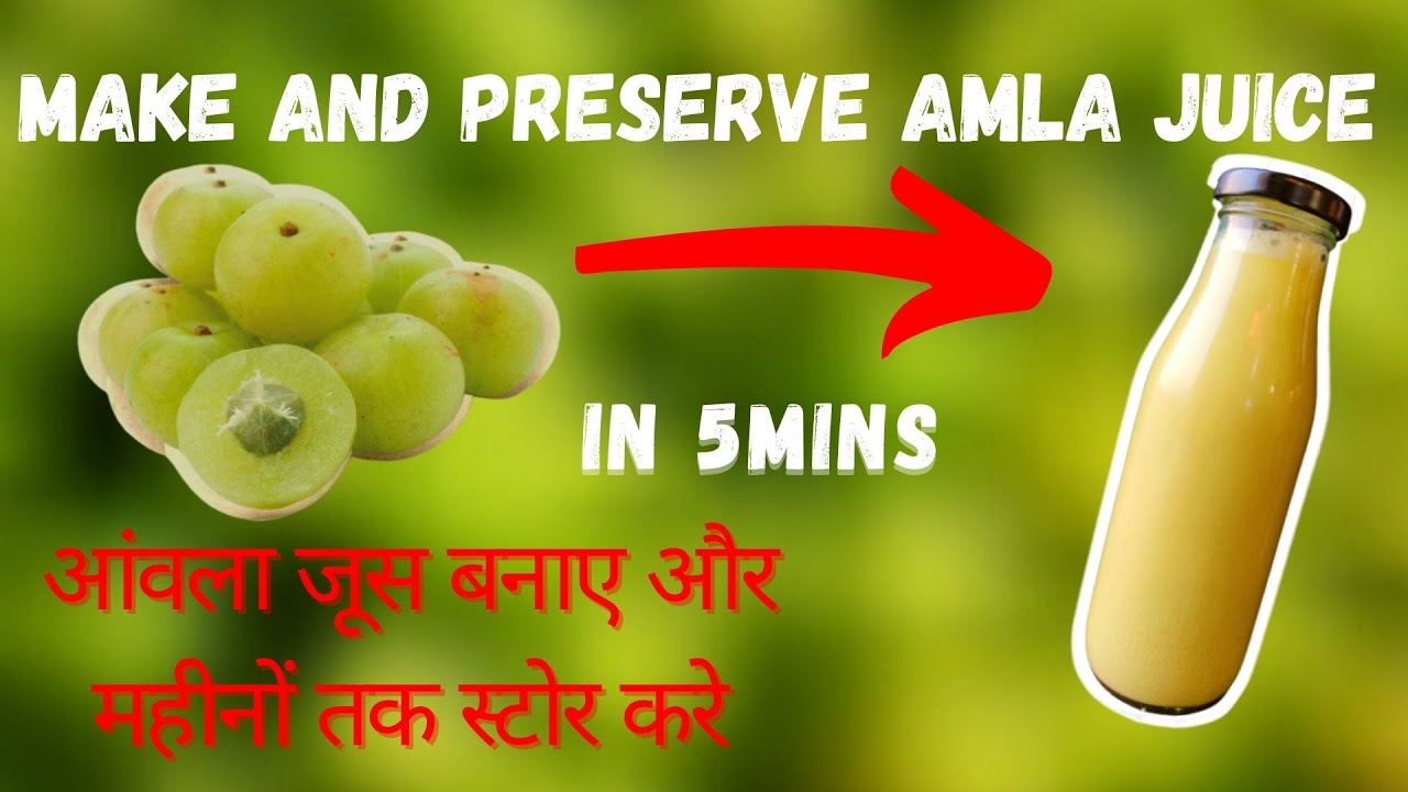 How to make & preserve Amla Juice / आंवला जूस कैसे बनाए और महीनों तक स्टोर करे / No Preservative