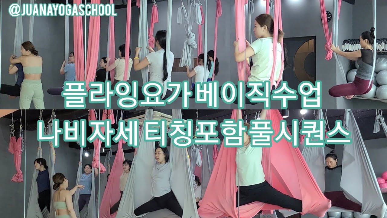 플라잉요가 베이직수업 나비자세 티칭포함 풀시퀀스 [주아나요가스쿨](flyingyoga,aerialyoga,juanayogaschool)
