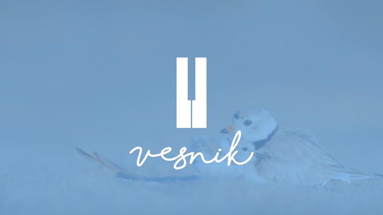 Pored tebe Isus je | Vesnik