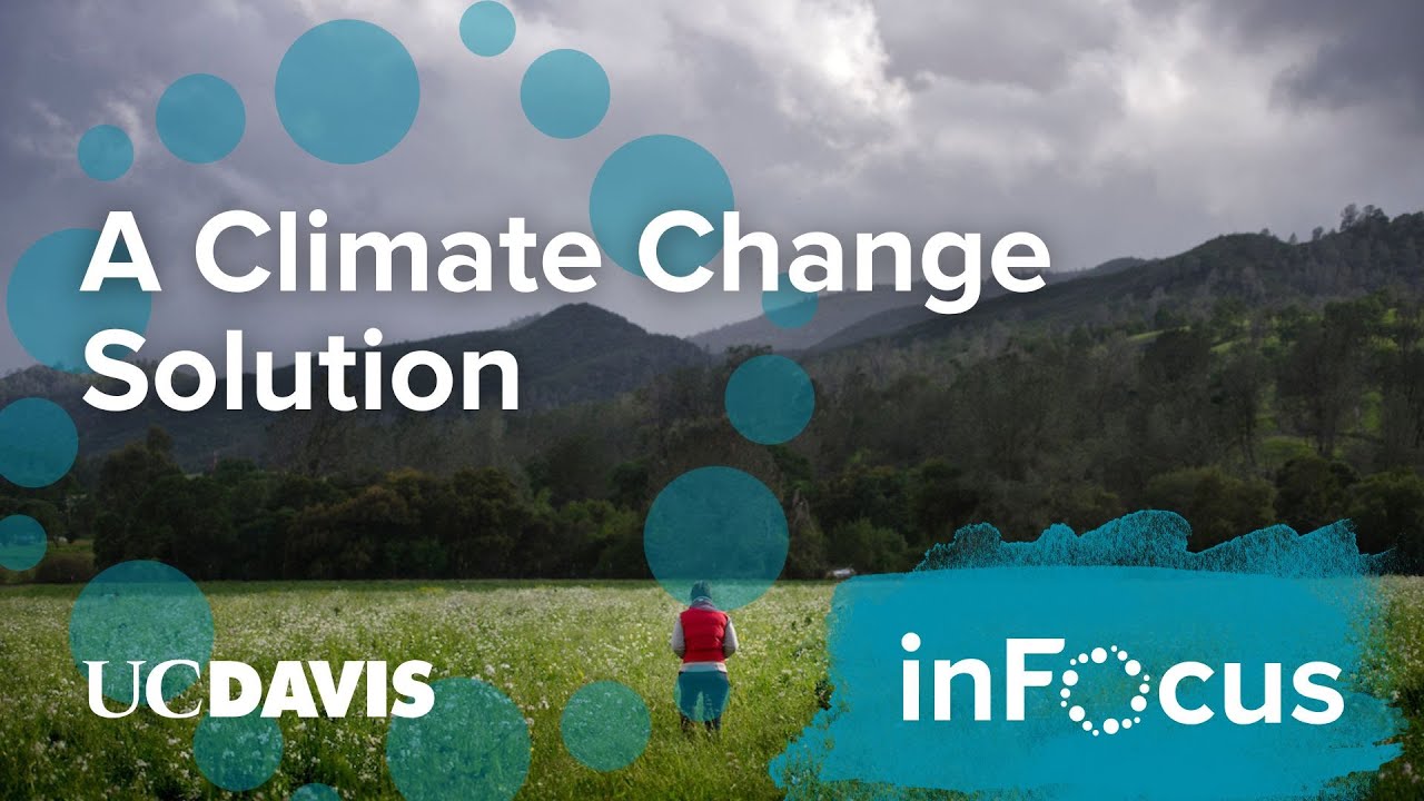A Climate Change Solution Beneath Our Feet