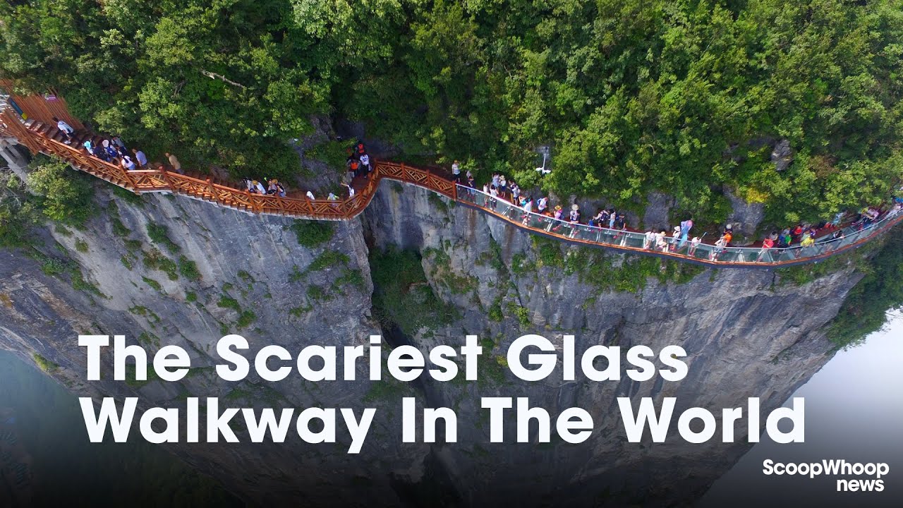 Dare To Walk On This Scary Glass Walkway?