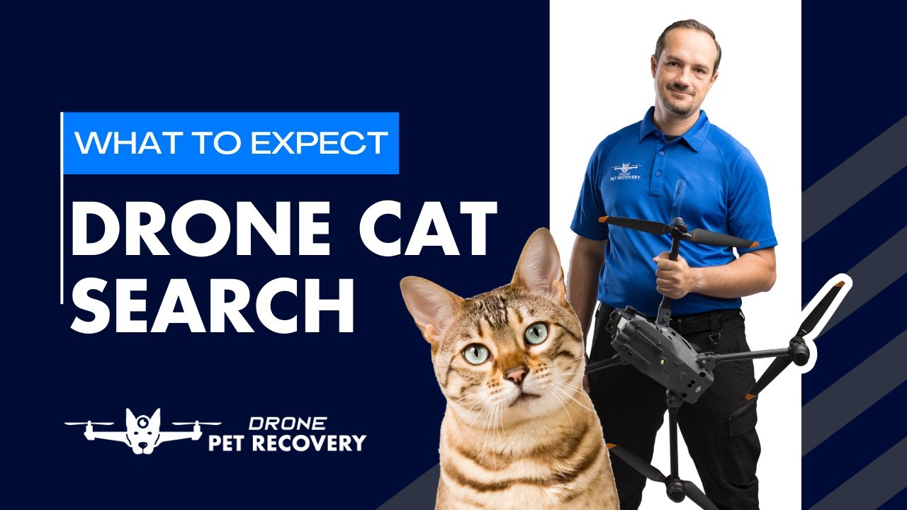 Finding a Lost Cat: What to Expect with Thermal Drone Search