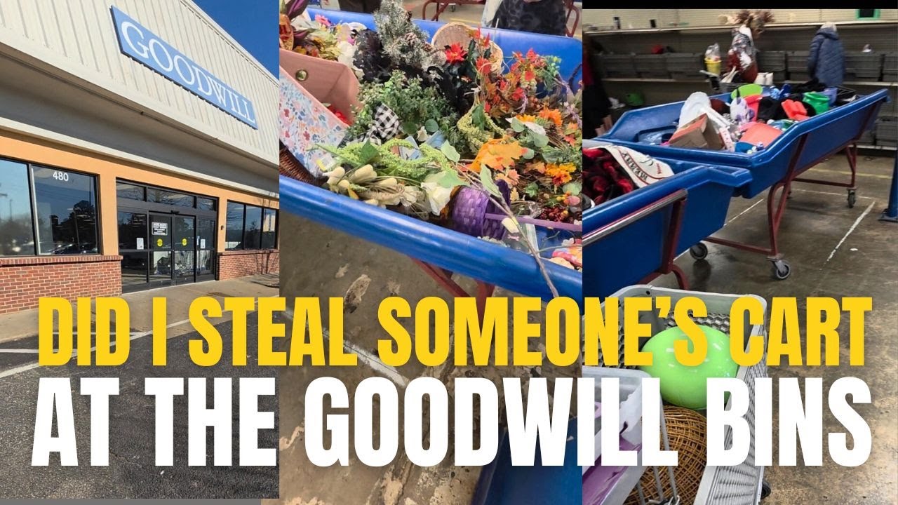 I took someone's cart at Goodwill Outlet bins &bull; Thrift with me &bull; thrifting for resale and home decor