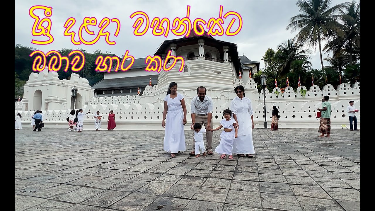 ශ්‍රී දළදා මාලිගාවට බබාව පූජා කරමු. Dalada Maligawata Babawa Bara karamu . #daladamaligawa #kandy
