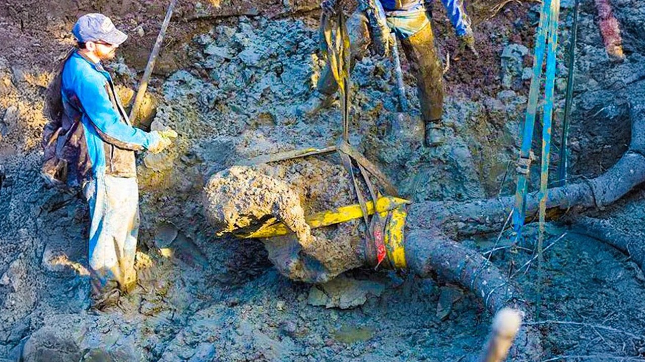 Top 10 Strange Discoveries Made During Road Construction