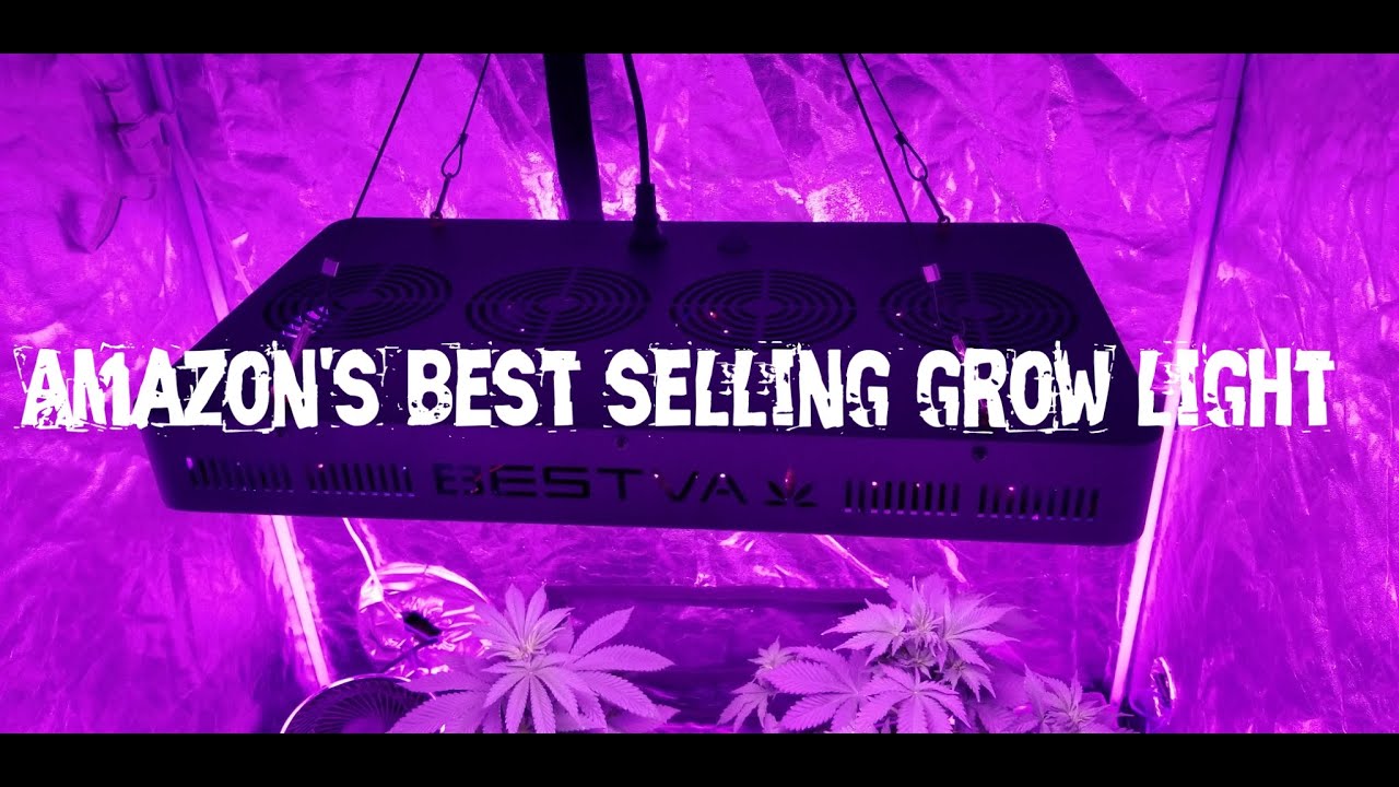BEST SELLING Grow Light  | BESTVA 3000 Watt LED Review