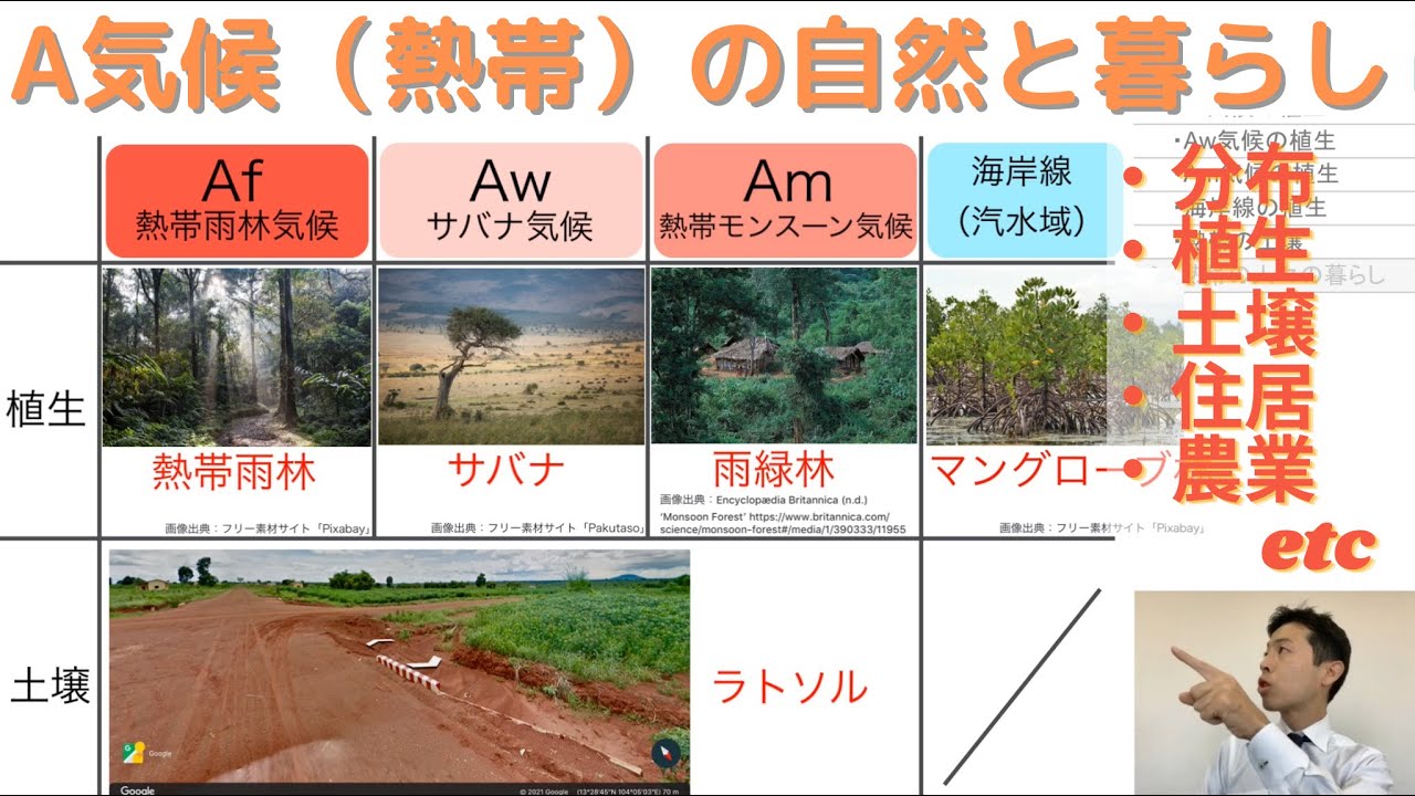 【高校地理】3-7. A気候（熱帯）の自然と暮らし（熱帯雨林、サバナ、ラトソル、焼畑農業など） | 3. 世界の気候