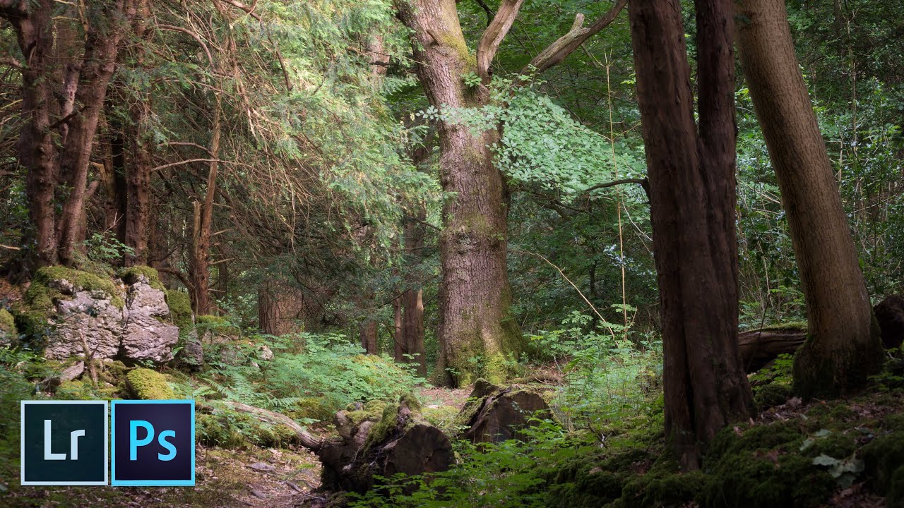 How to get that FAIRYTALE Woodland Look | Editing Workflow