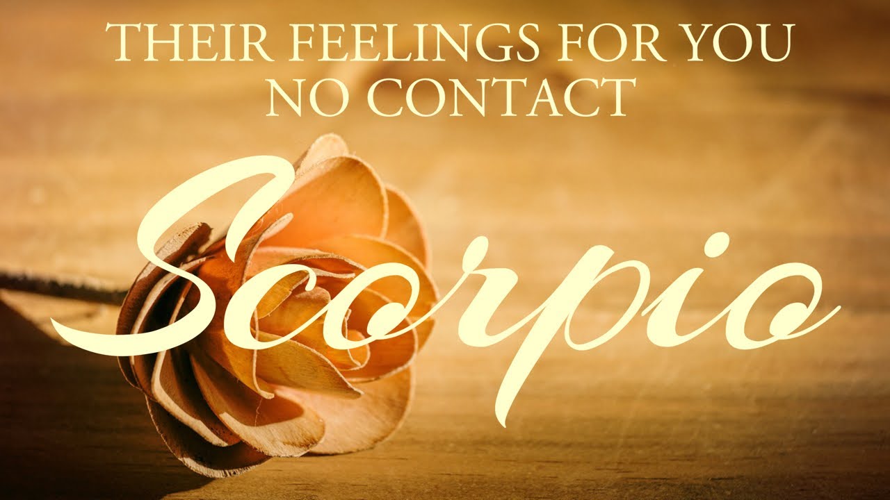 SCORPIO tarot love ♏️ They Want To Clear The Air With You Scorpio
