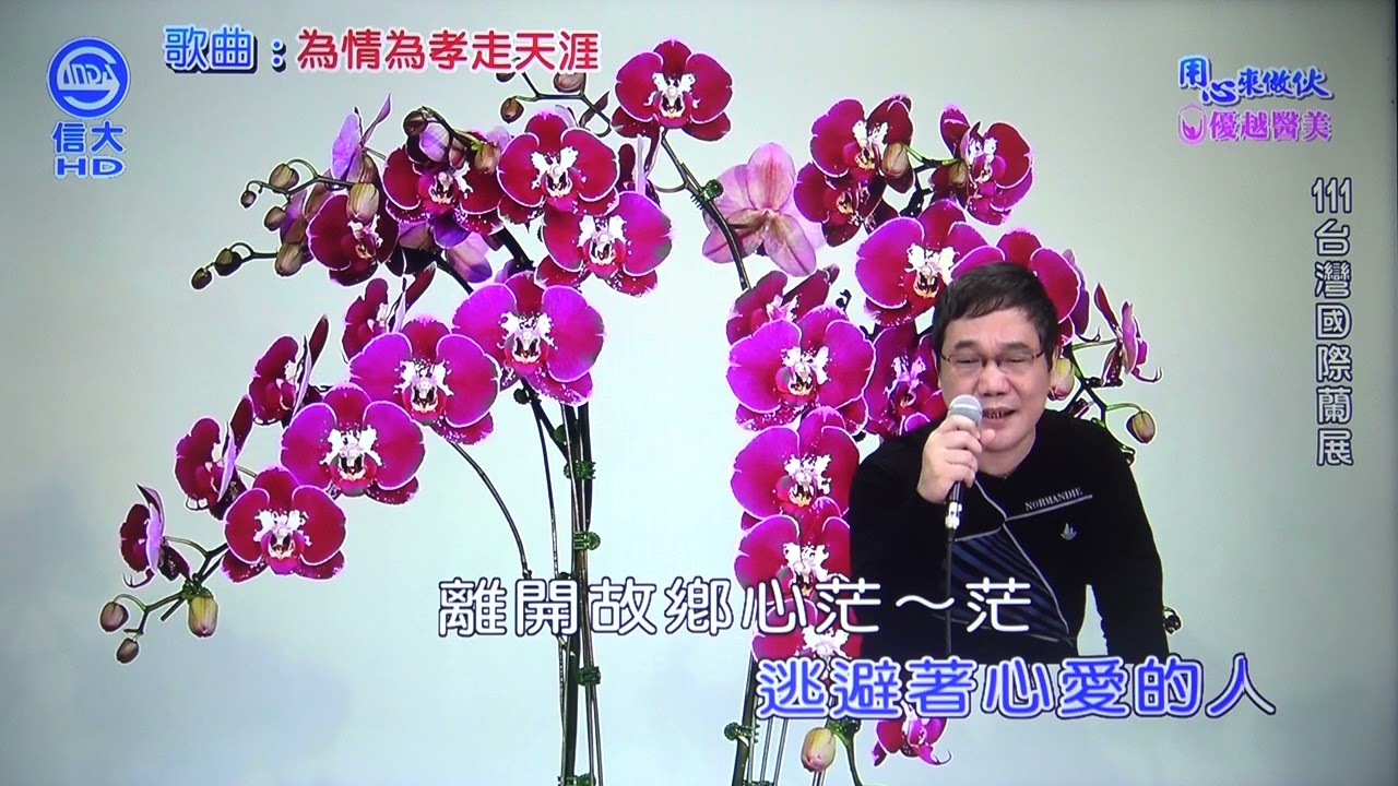 世賢 為愛為孝走天涯(丁蕾)111/11/09