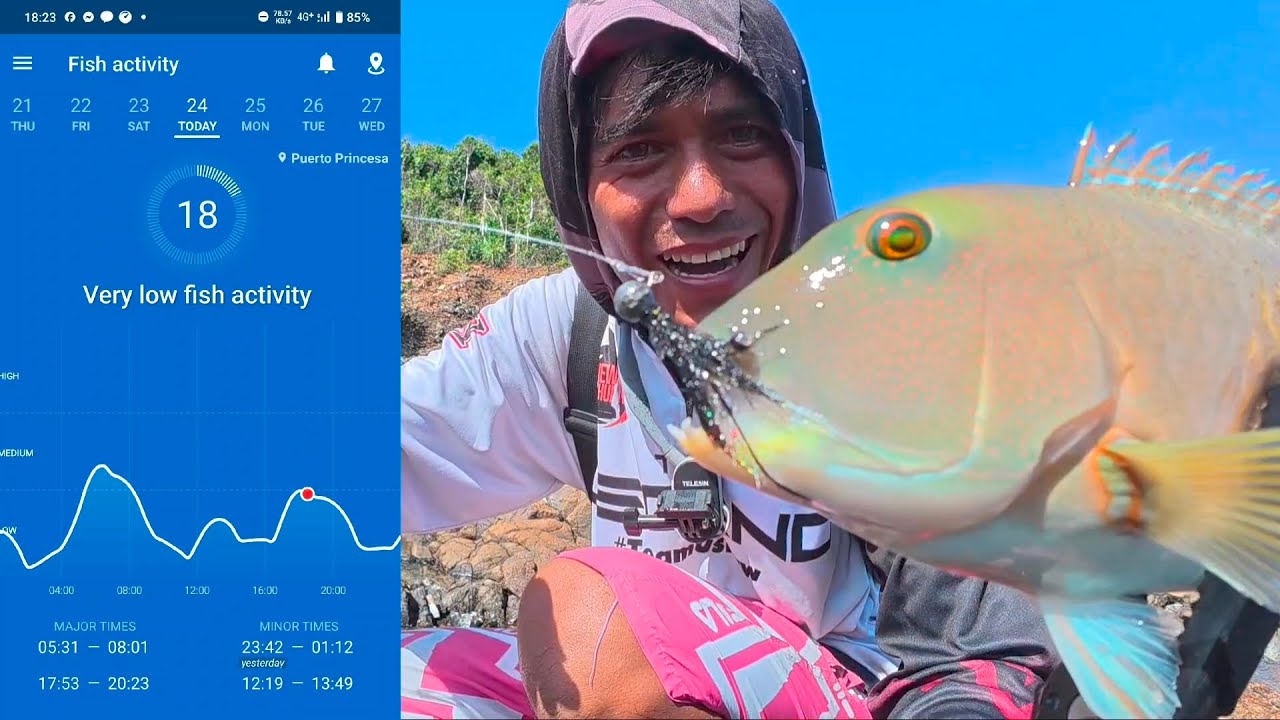 Fishing Apps Subukan Ntn