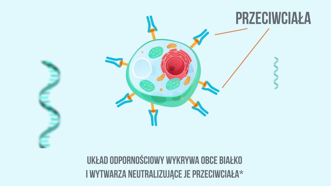 Technologia ukryta w strzykawce:  Jak działa szczepionka mRNA przeciwko COVID-19?