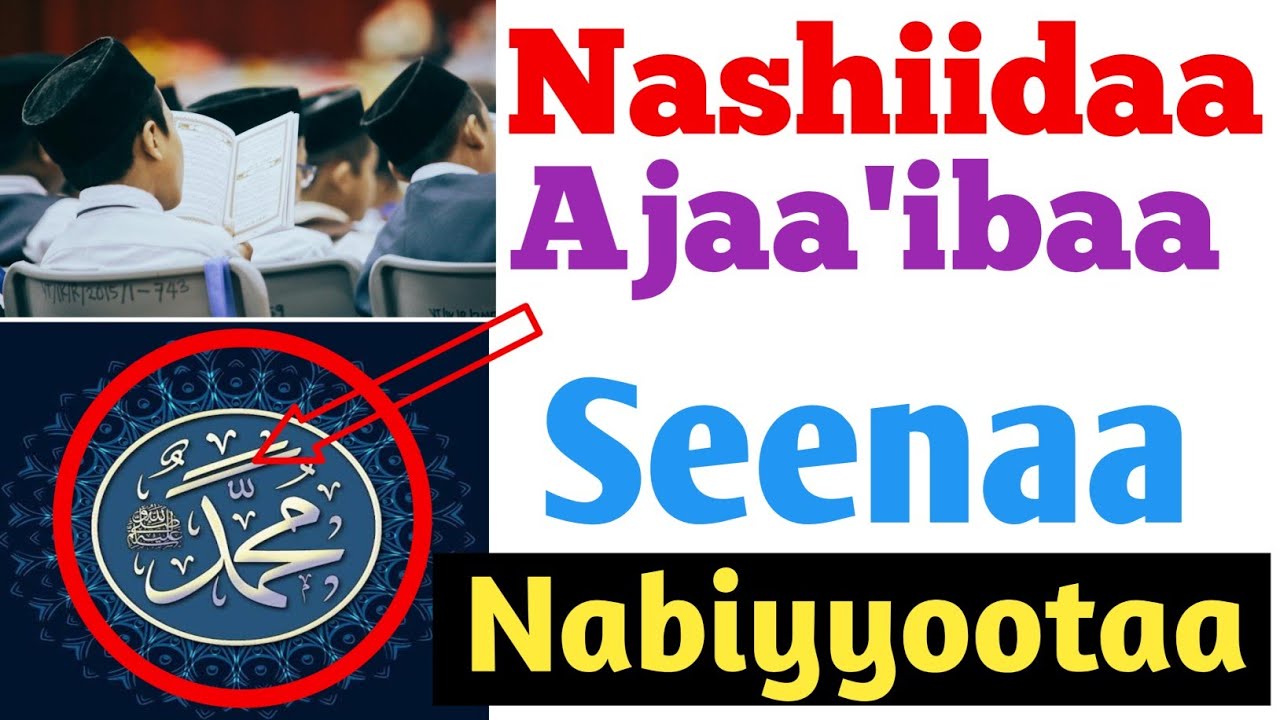 Nashida Ajaaibaa Seenaa Nabiyyootaa | New Oromo Nashiidaa | Seenaa Nabiyyootaa | MuhammadNur Guyyee