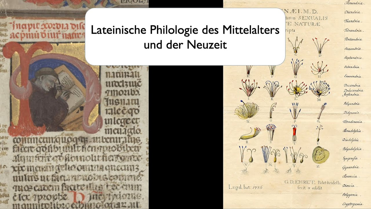 Lateinische Philologie des Mittelalters und der Neuzeit &ndash; Pal&auml;ographie und Kodikologie