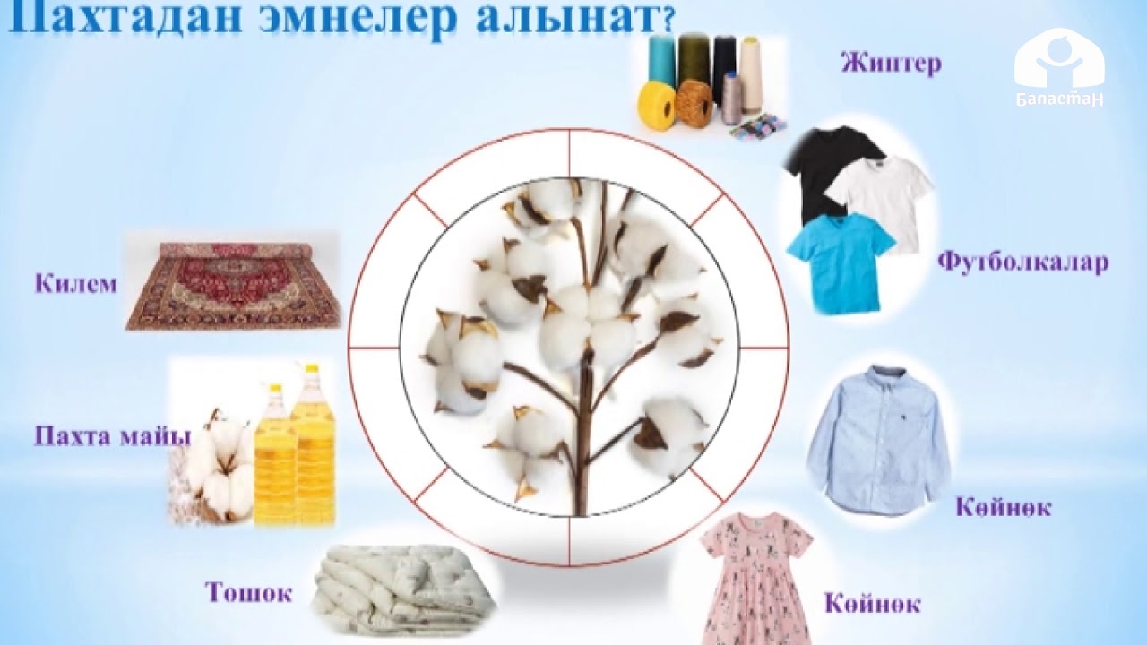2-класс / Мекен Таануу / Жаратылыш материалдары / 18.05.2020