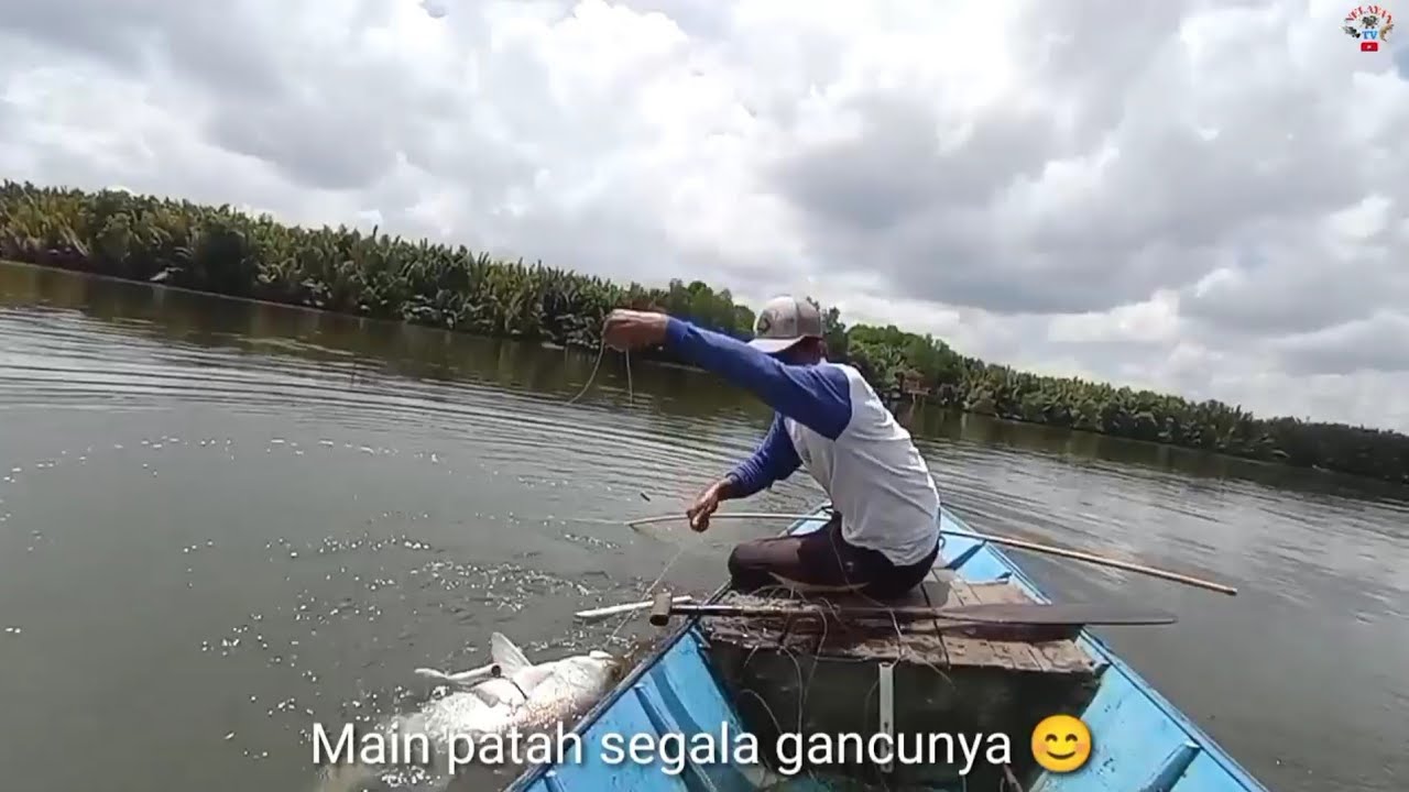 Perjuangan joran bambu menaklukkan ikan² besar#Mancing joran bambu