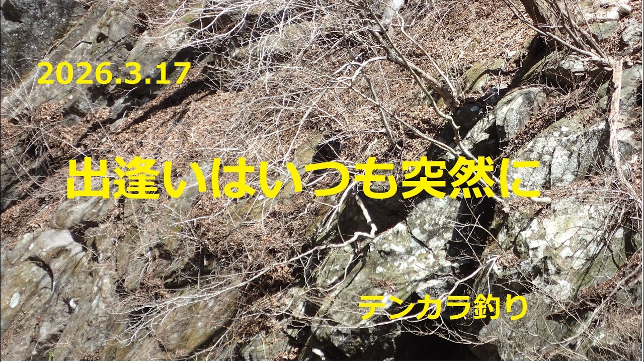 2026 3 17　出逢いはいつも突然