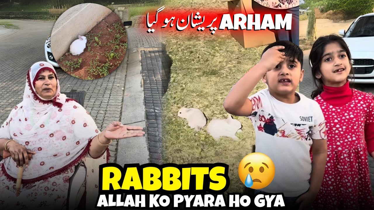 Arham ka rabit Allah ko piyara ho gya😢