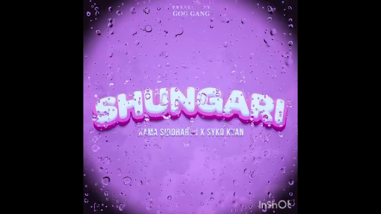 SHUNGARI(music vibe)