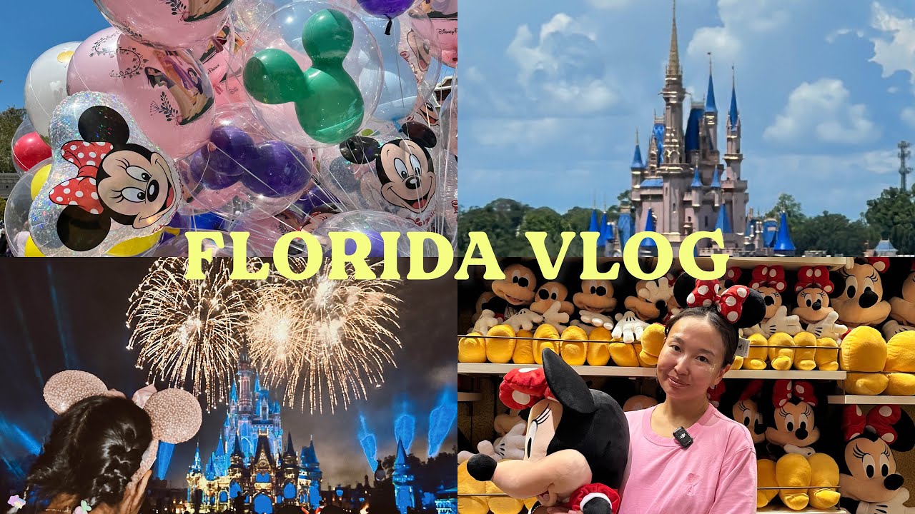 VLOG: Флорида/ пляжи Сарасоты, впервые в Диснейленде в Орландо