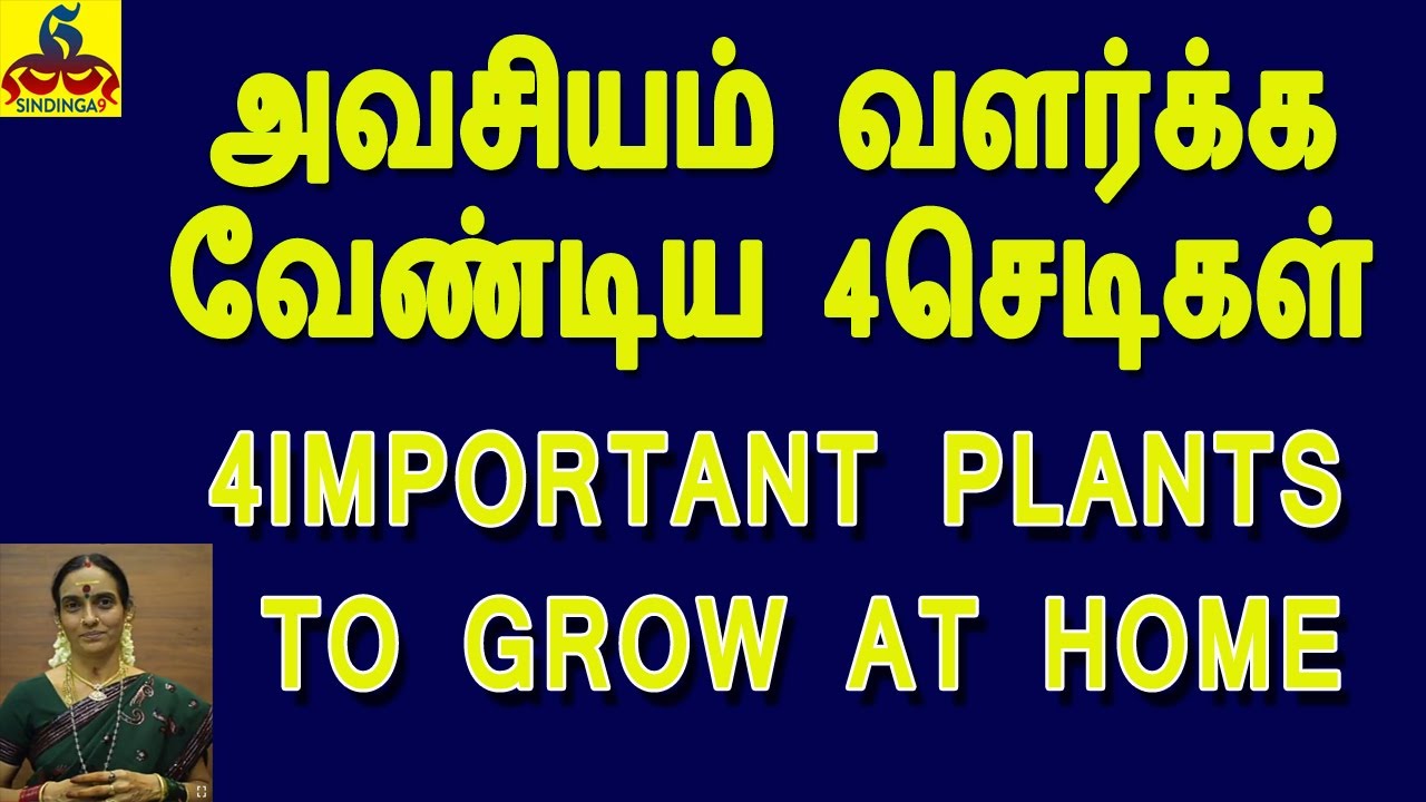 4 Important plants to grow at home |  வீட்டில் அவசியம் வளர்க்க வேண்டிய 4செடிகள்