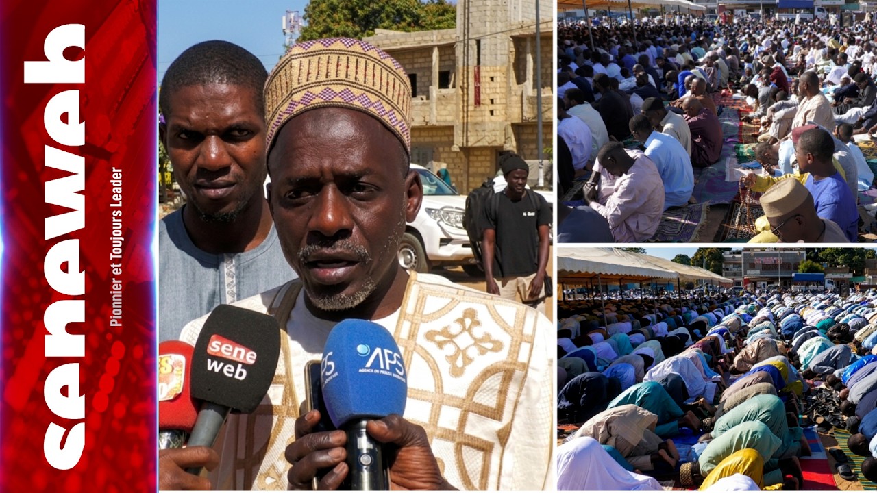 Korité : Durcissement des peines contre l'homosexualité : Député Amadou MBaye Dia salue l'engagement