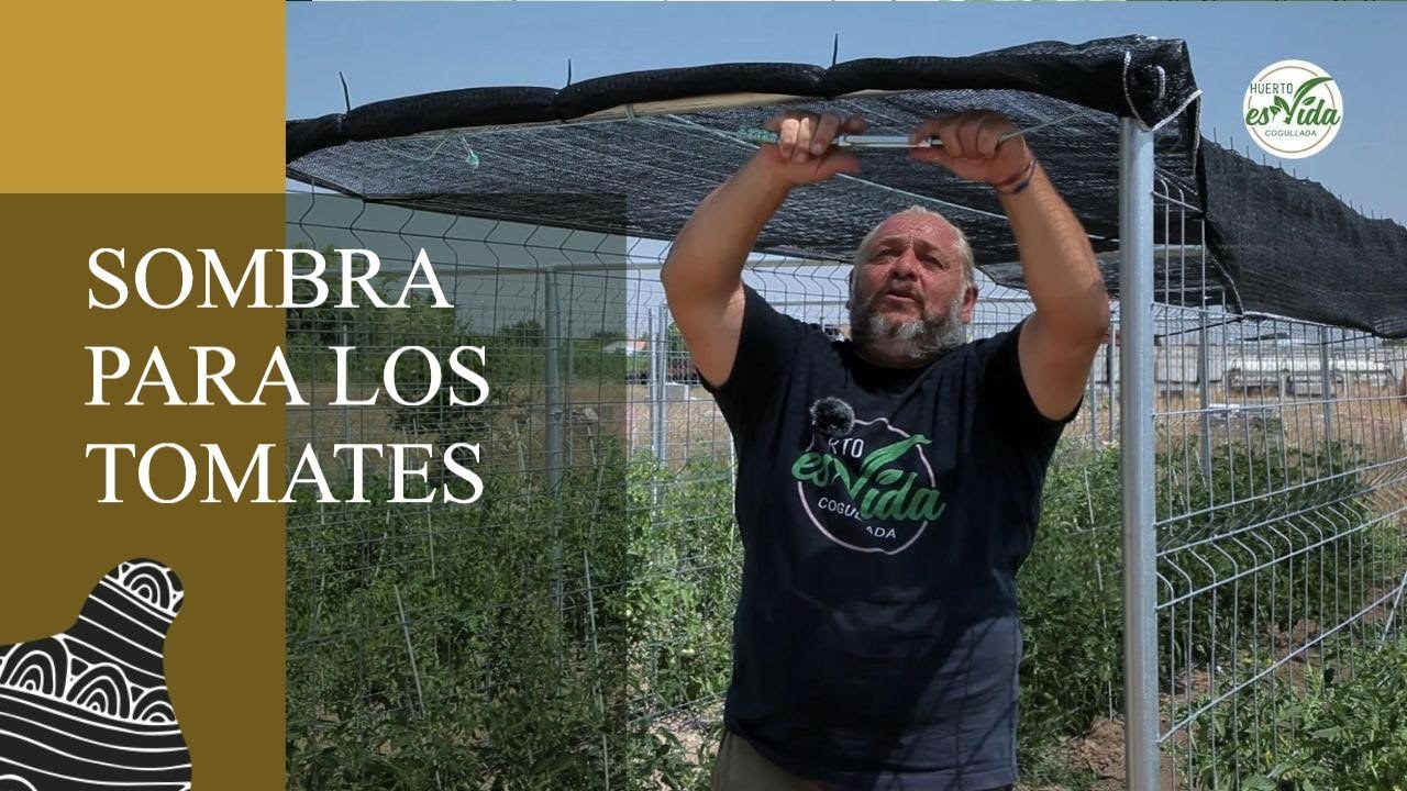SOMBRA para nuestros TOMATES