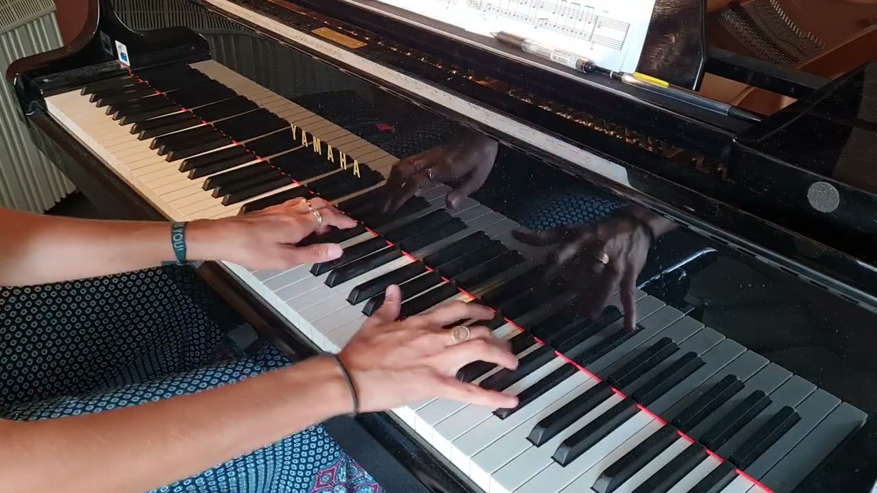 Vivre pour le meilleur - Johnny Hallyday - piano cover arrangement @Mostik68