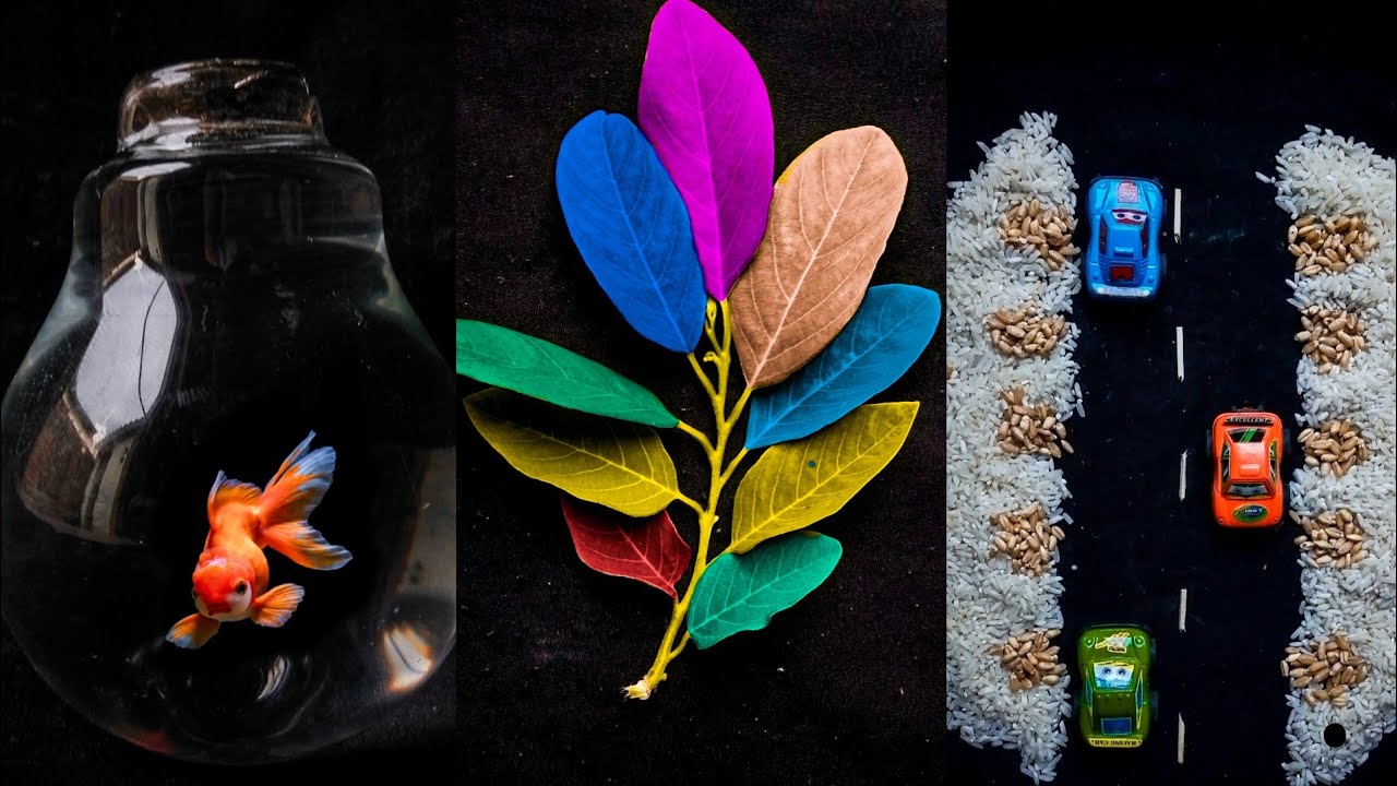 3 Easy Mobile Photography Ideas At Home For Instagram | Creative Mobile Photography Tricks