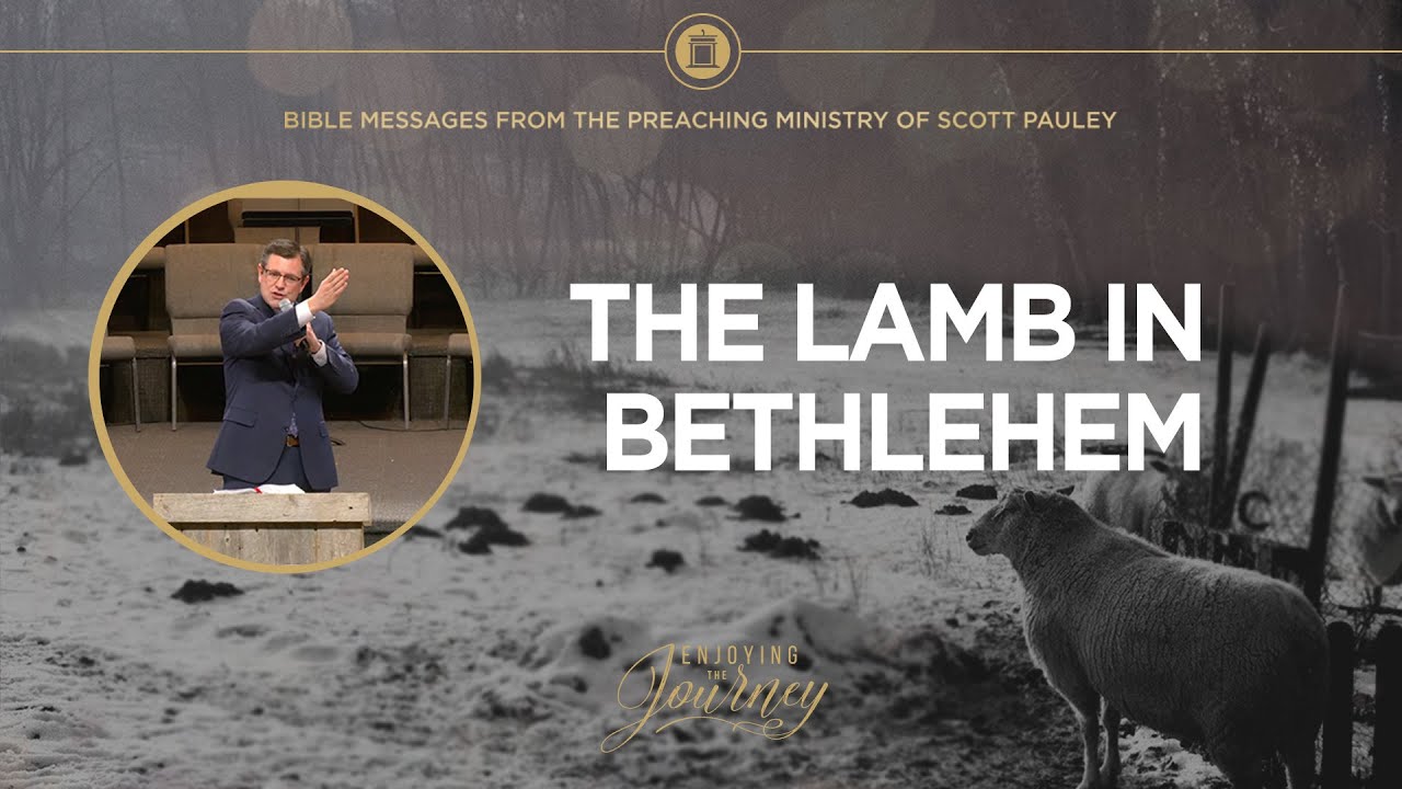The Lamb in Bethlehem