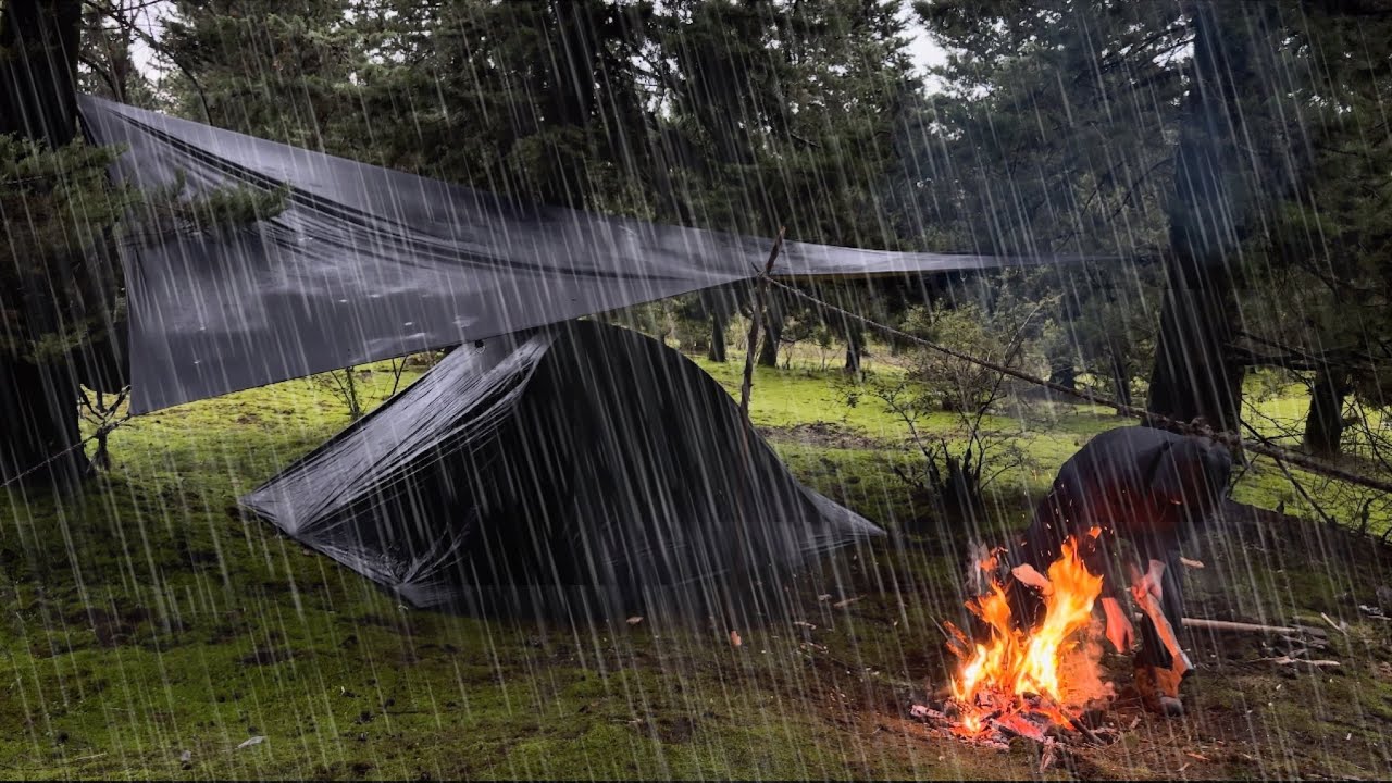 Relaxing SOLO Camping with Rain Forest views I gloomy weather, cozy shelter, rain ASMR |