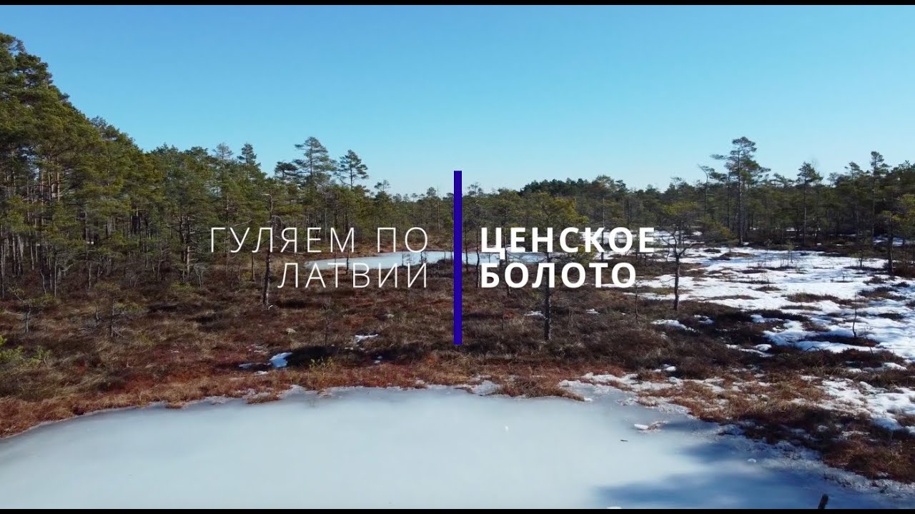 Природная тропа на Ценском болоте / Cenas tīreļa laipu taka
