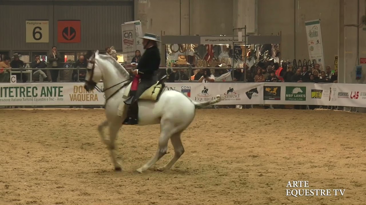 ARTE EQUESTRE TV - FERNANDEZ VENTURA SUAREZ - COPPA DEI MAESTRI - FIERACAVALLI 2024