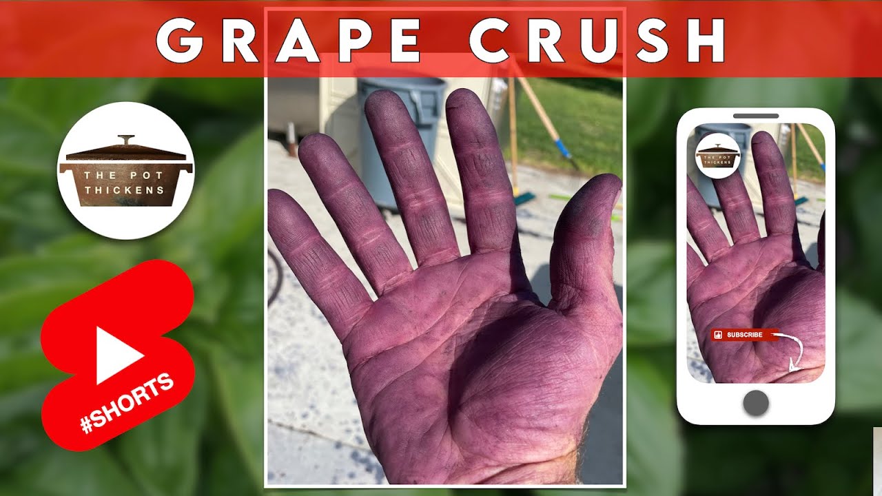 Where have I been? Grape Crush (2021 Vintage) #shorts